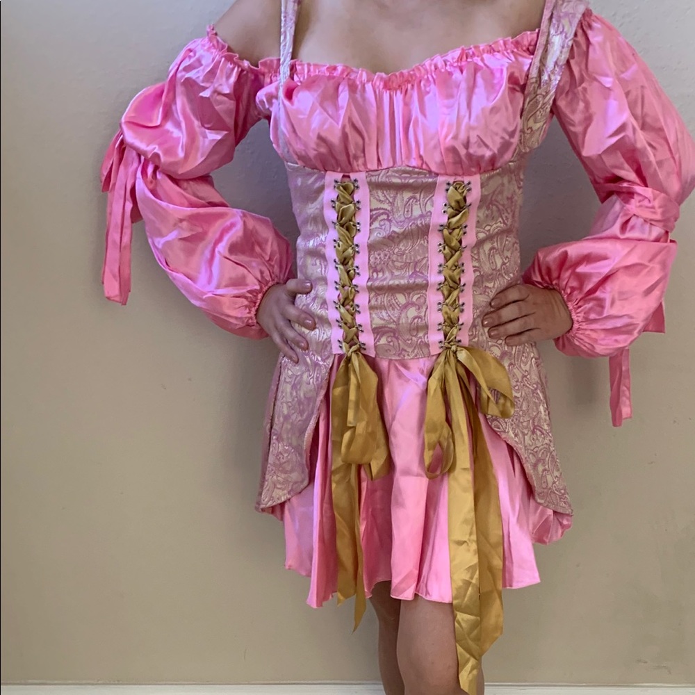Wench/ pirate costume